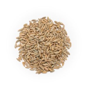 Organic Rye Grain - Forest Whole Foods