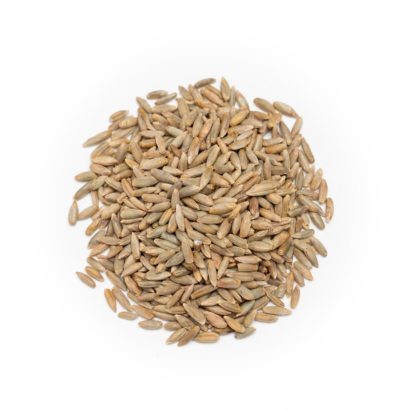 Organic Rye Grain - Forest Whole Foods