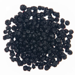 organic dried blueberries