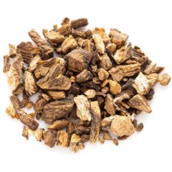 organic burdock root