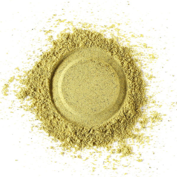 organic pumpkin protein powder